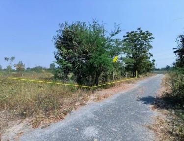 หินเหล็กไฟ หัวหิน ประจวบคีรีขันธ์